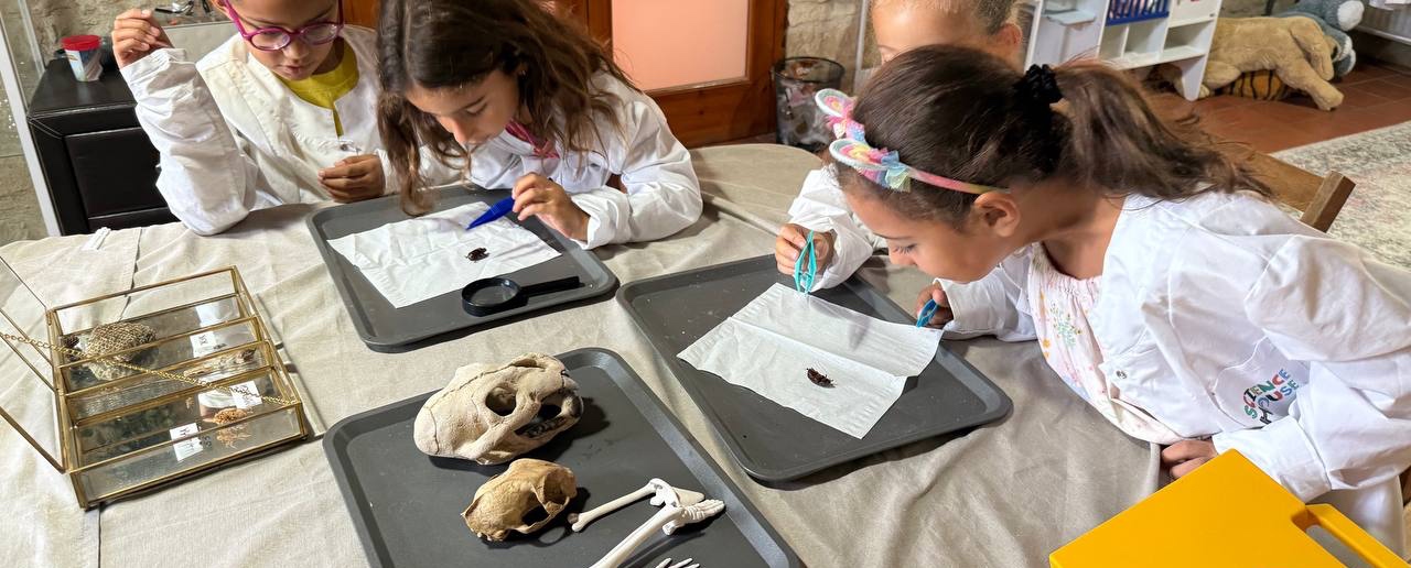 Young Veterinarian Club, Kapsalos